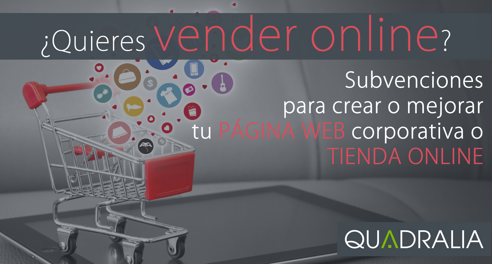 Subvenciones desarrollo página web